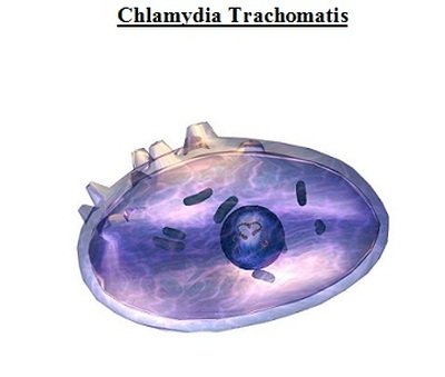 Tổng Quan Bệnh chlamydia trachomatis Và Cách Điều Trị Hiệu Quả